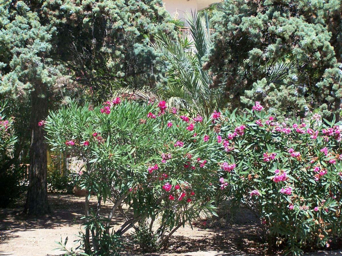 Appartement Lauriers Roses à Ajaccio  Extérieur photo