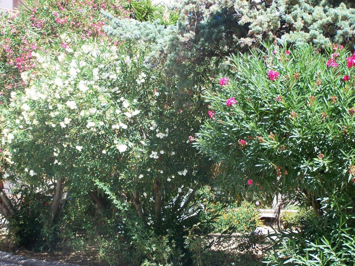Appartement Lauriers Roses à Ajaccio  Extérieur photo