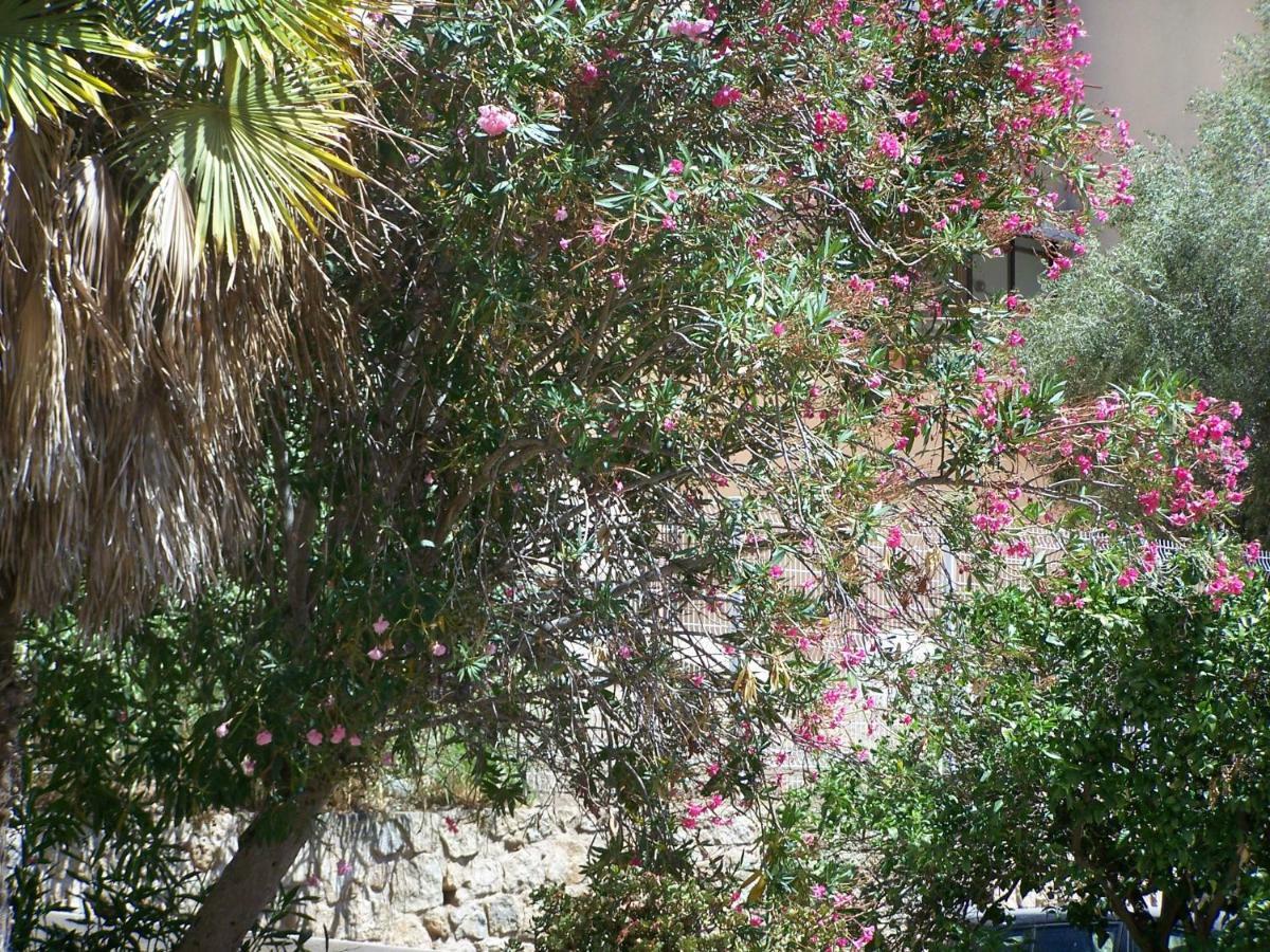 Appartement Lauriers Roses à Ajaccio  Extérieur photo